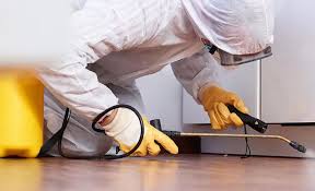 Best Real Estate Pest Inspections  in Colorado City, AZ